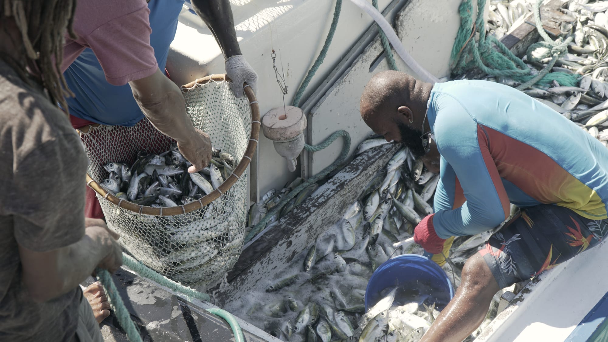 June 2025 Fish Landings Summary Report