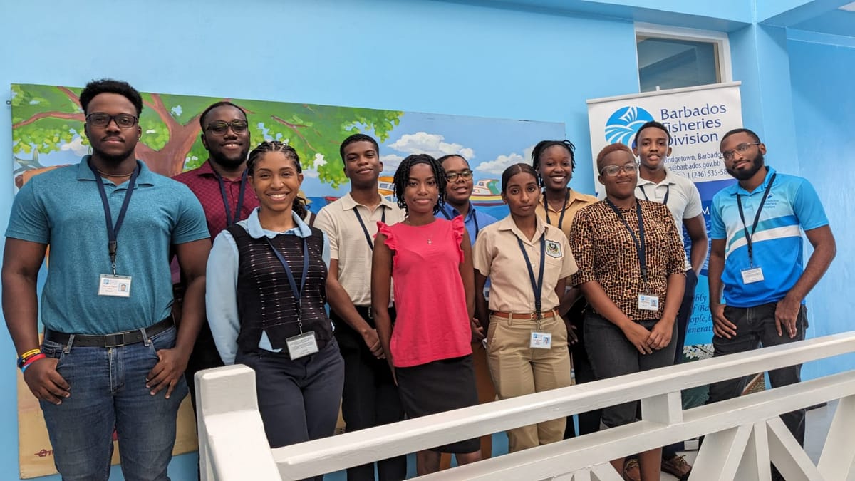  2024 Summer Internship Motiv 