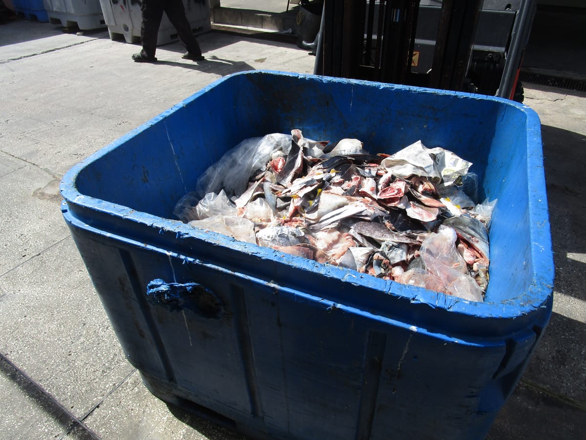 fao-fish-waste-project-launch